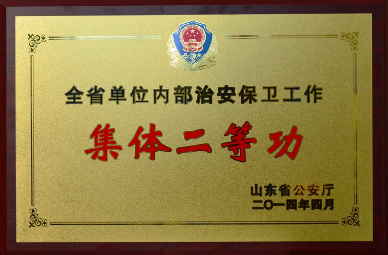 华鼎公司内部治安保卫集体二等功奖牌_副本.jpg
